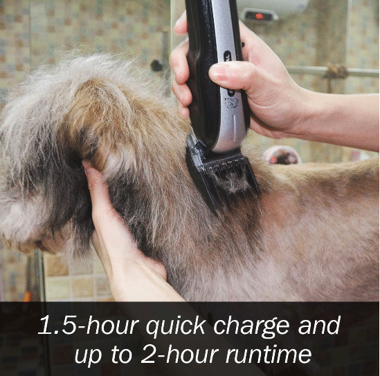 Pamper Your pets with the Beautural Pet Grooming Kit pet grooming, pet groomer, pet love, 1byOne